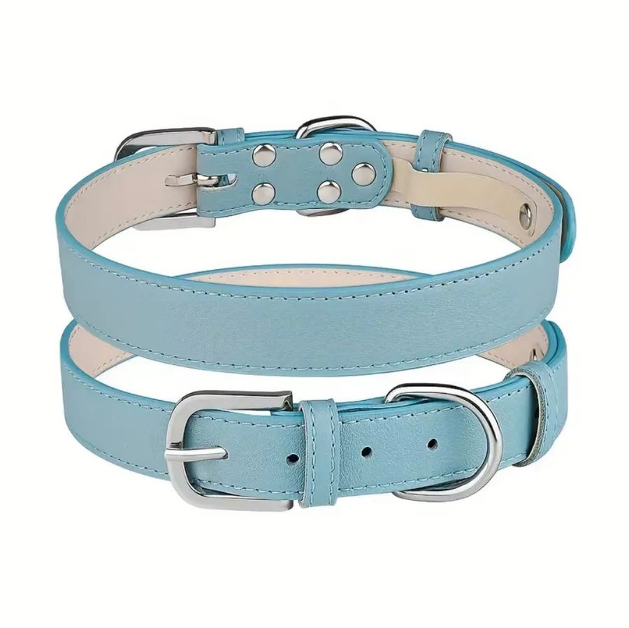 Light Blue Collar
